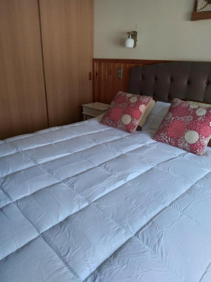 Apartamento Departamento Camino Al Volcan *